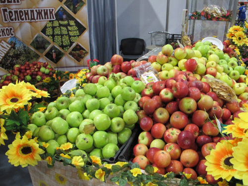 Makeat omenat ovat Krasnodarin alueen ylpeys.
