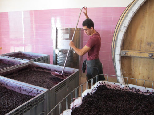 Murat Pogosov sekoittaa rypälemassaa Semigorjen kartanon viinitilalla.